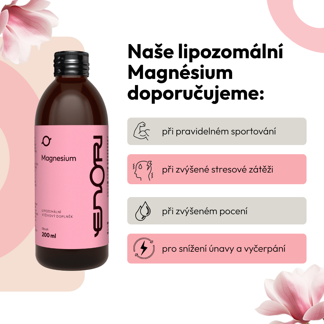 Magnesko 1 CZ